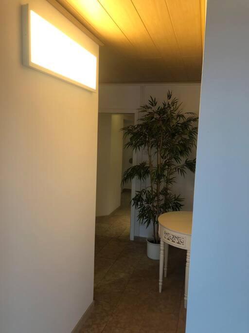 Haus Jaeger Ruheoase Im Gruenen Apartment Lohfelden Ngoại thất bức ảnh